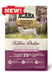 Highest Protein, Kitten Recipe